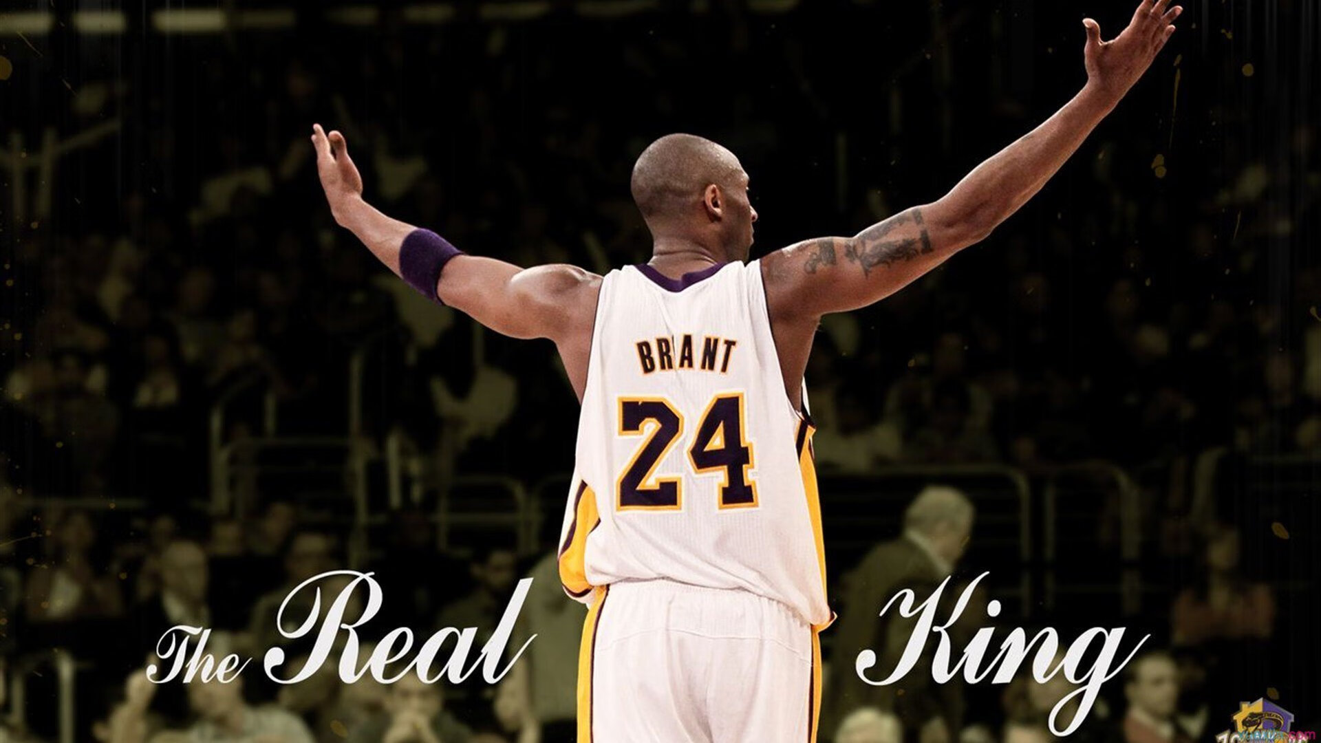 决赛替补出场球员表现同样抢眼，决赛阵容